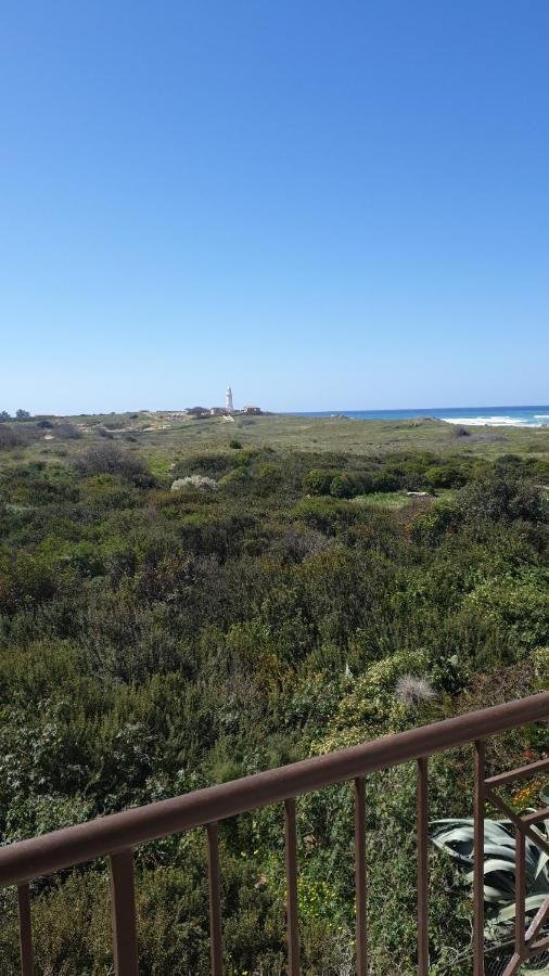 Ancient Paphos - Cozy Place Next To The Sea, Marina, Historical Sites, Buses, Mall, And Market Buitenkant foto