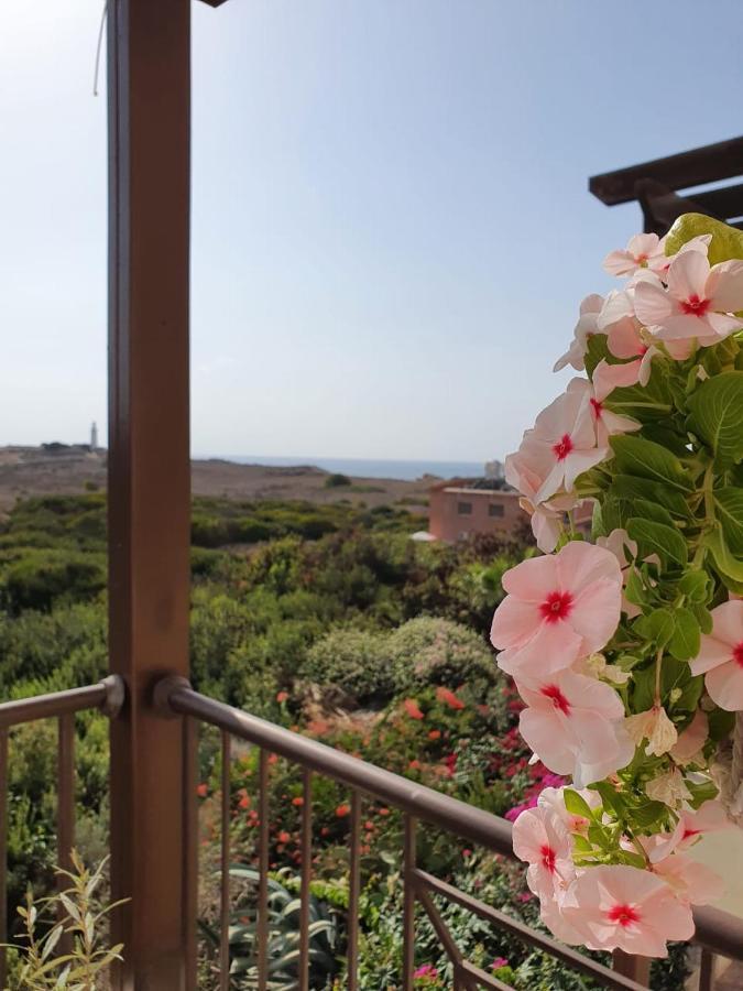 Ancient Paphos - Cozy Place Next To The Sea, Marina, Historical Sites, Buses, Mall, And Market Buitenkant foto