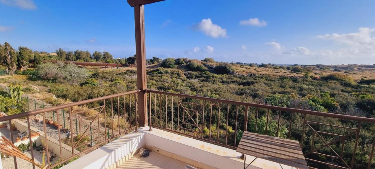 Ancient Paphos - Cozy Place Next To The Sea, Marina, Historical Sites, Buses, Mall, And Market Buitenkant foto